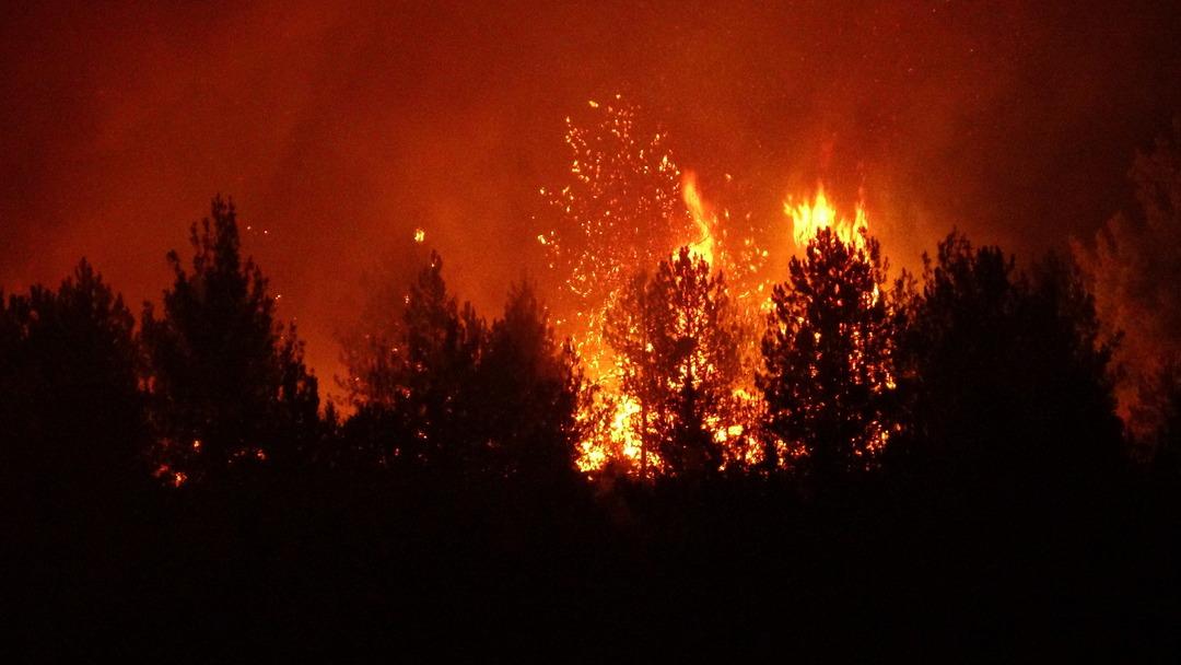 Kastamonu da iki orman yangını birden! Altı köy tahliye edildi, Bakan Yumaklı dan açıklama geldi 1