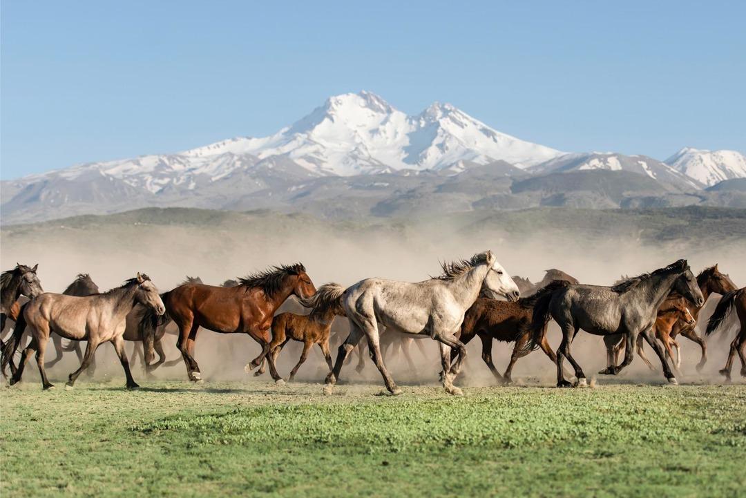 Kayseri ilk kez Kültür Yolu’nda: Sanat, müzik ve lezzet şöleni 1