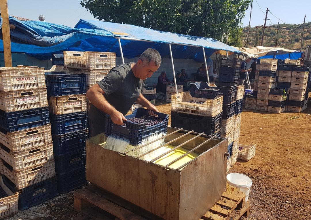400 ton  piyasaya sürülecek! Bakanlık onaylıyor, 15 mahallede üretiliyor 2