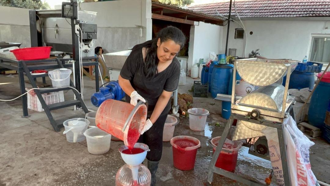 Üniversite mezunu genç kadın köyünde girişimci oldu: Üretim merkezi kurdu!  1