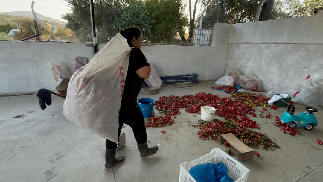 Üniversite mezunu genç kadın köyünde girişimci oldu: Üretim merkezi kurdu!  6
