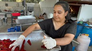 Üniversite mezunu genç kadın köyünde girişimci oldu: Üretim merkezi kurdu! 