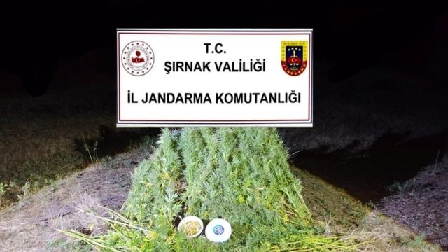 Şırnak’ta Jandarma’dan 22 milyon 861 bin liralık kaçakçılık operasyonu: 2 tutuklama