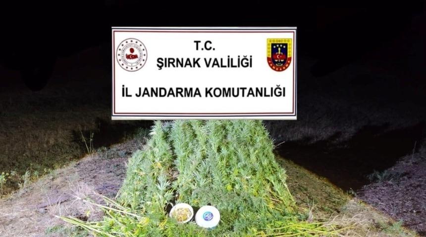 Şırnak’ta Jandarma’dan 22 milyon 861 bin liralık kaçakçılık operasyonu: 2 tutuklama