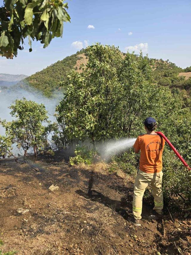 Bingöl’de orman yangını: Havadan karadan müdahale sürüyor 4