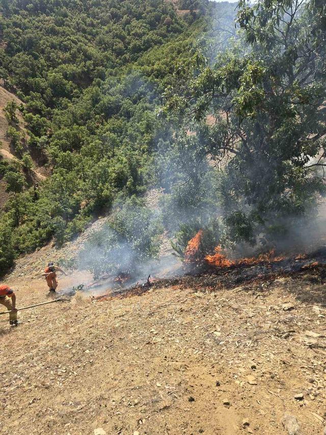Bingöl’de orman yangını: Havadan karadan müdahale sürüyor 3