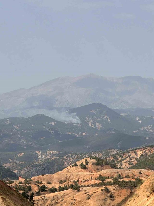 Bingöl’de orman yangını: Havadan karadan müdahale sürüyor 2