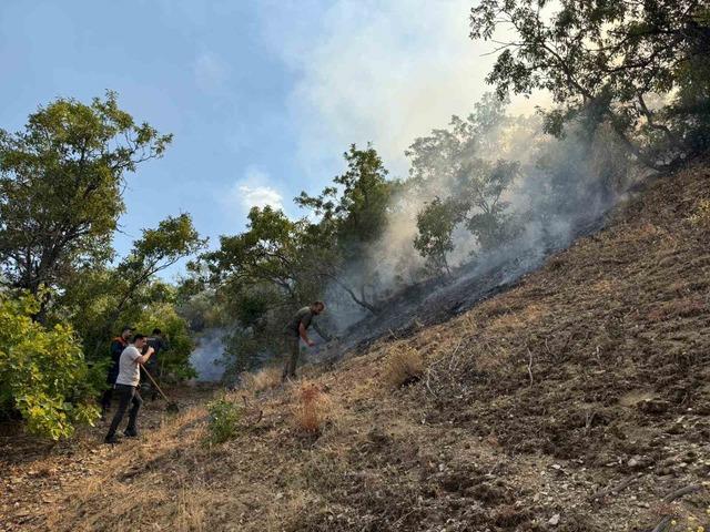 Bingöl’de orman yangını: Havadan karadan müdahale sürüyor 1
