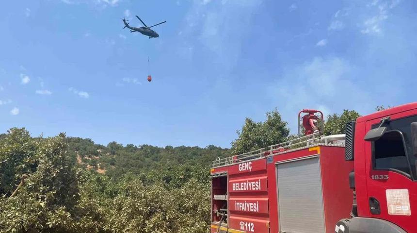 Bingöl’de orman yangını!