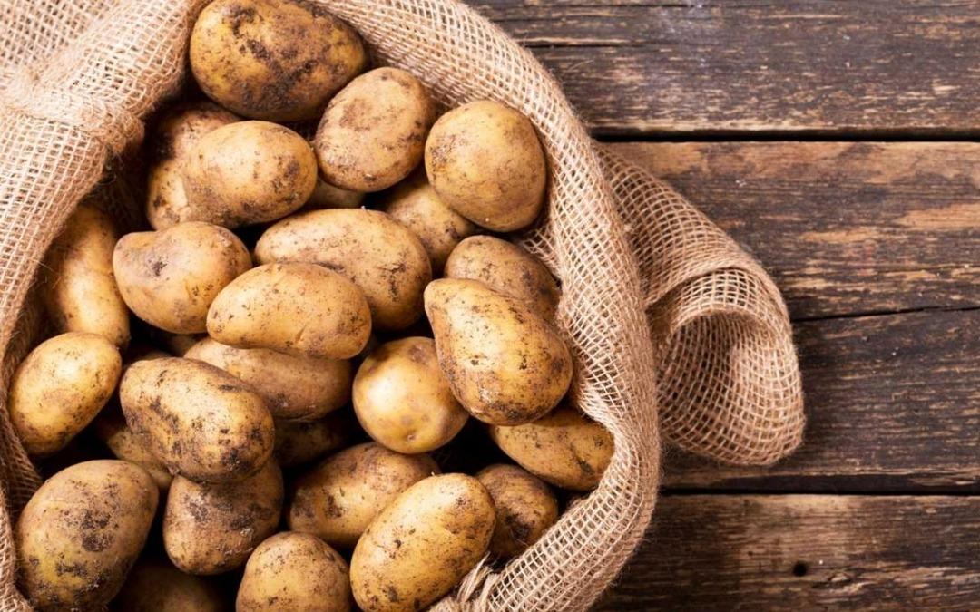 Ağustos ta uçak bileti fiyatı arttı, patates ucuzladı 2
