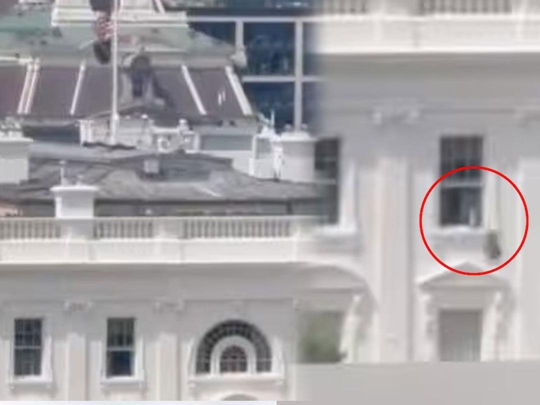 Beyaz Saray da gizemli olay! Pencereden fırlatıldı, açıklamalar kafa karıştırdı 3