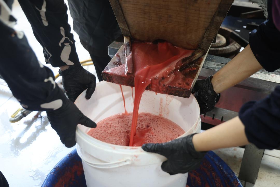 Kavanozu 350 TL! Uzun süre bozulmamasıyla biliniyor... Kapış kapış satılıyor 6