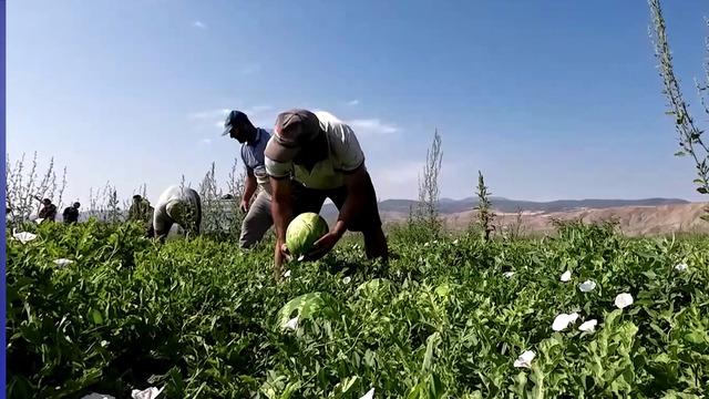 70 km'de fiyatı 30 katına çıkıyor! 'Adeta çöktü'