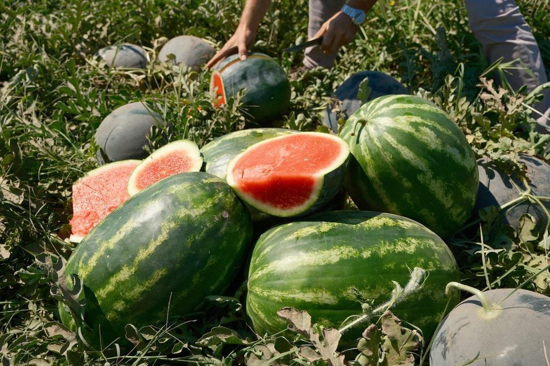 70 km de fiyatı 30 katına çıkıyor!  Adeta çöktü  1