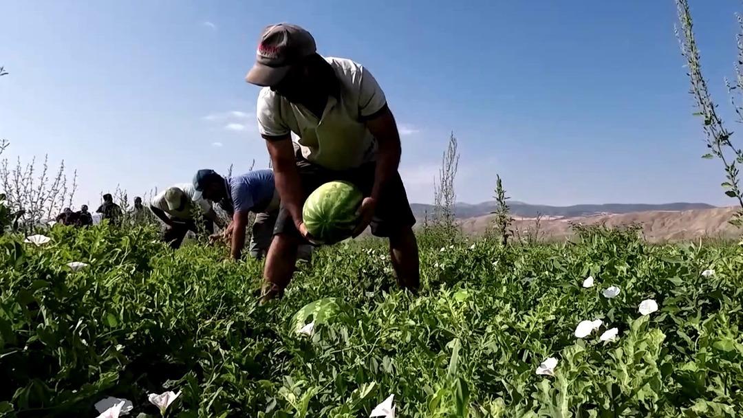 70 km de fiyatı 30 katına çıkıyor!  Adeta çöktü  4