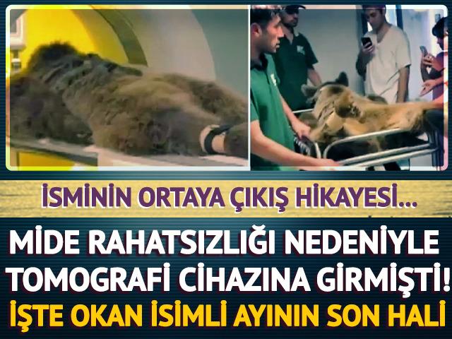 Mide rahatsızlığı nedeniyle tomografi cihazına girmişti! İşte Ayı Okan'ın son hali...