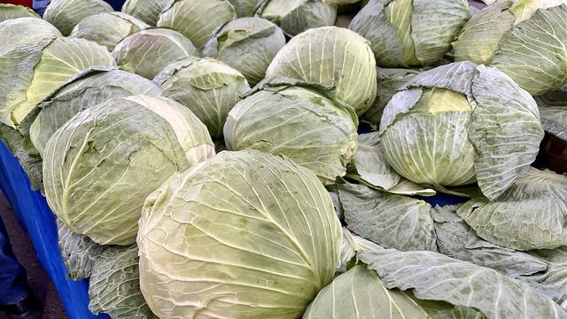 Lahana tansiyonu yükseltir mi? Lahananın tansiyona etkisi