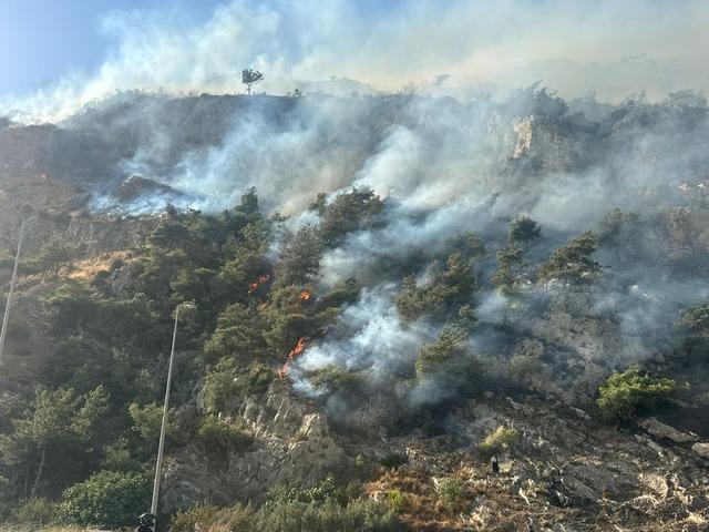 Aydın ın Söke ilçesindeki orman yangını kontrol altına alındı 2