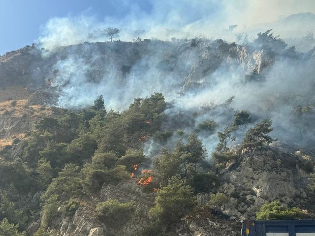 Aydın ın Söke ilçesindeki orman yangını kontrol altına alındı 1