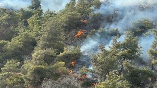 Aydın'ın Söke ilçesindeki orman yangını kontrol altına alındı