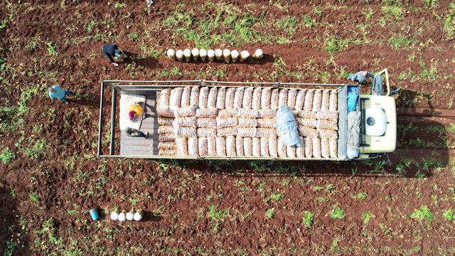 Ağustosta en çok ucuzlayan ürün belli oldu