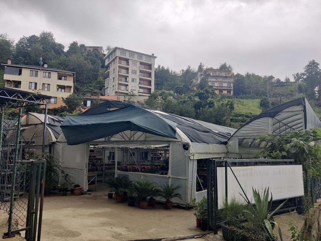  Burada olmaz  dediler, yine de başladı! Her ay 10 bin tane satıyor, kamyon kamyon gidiyor 5