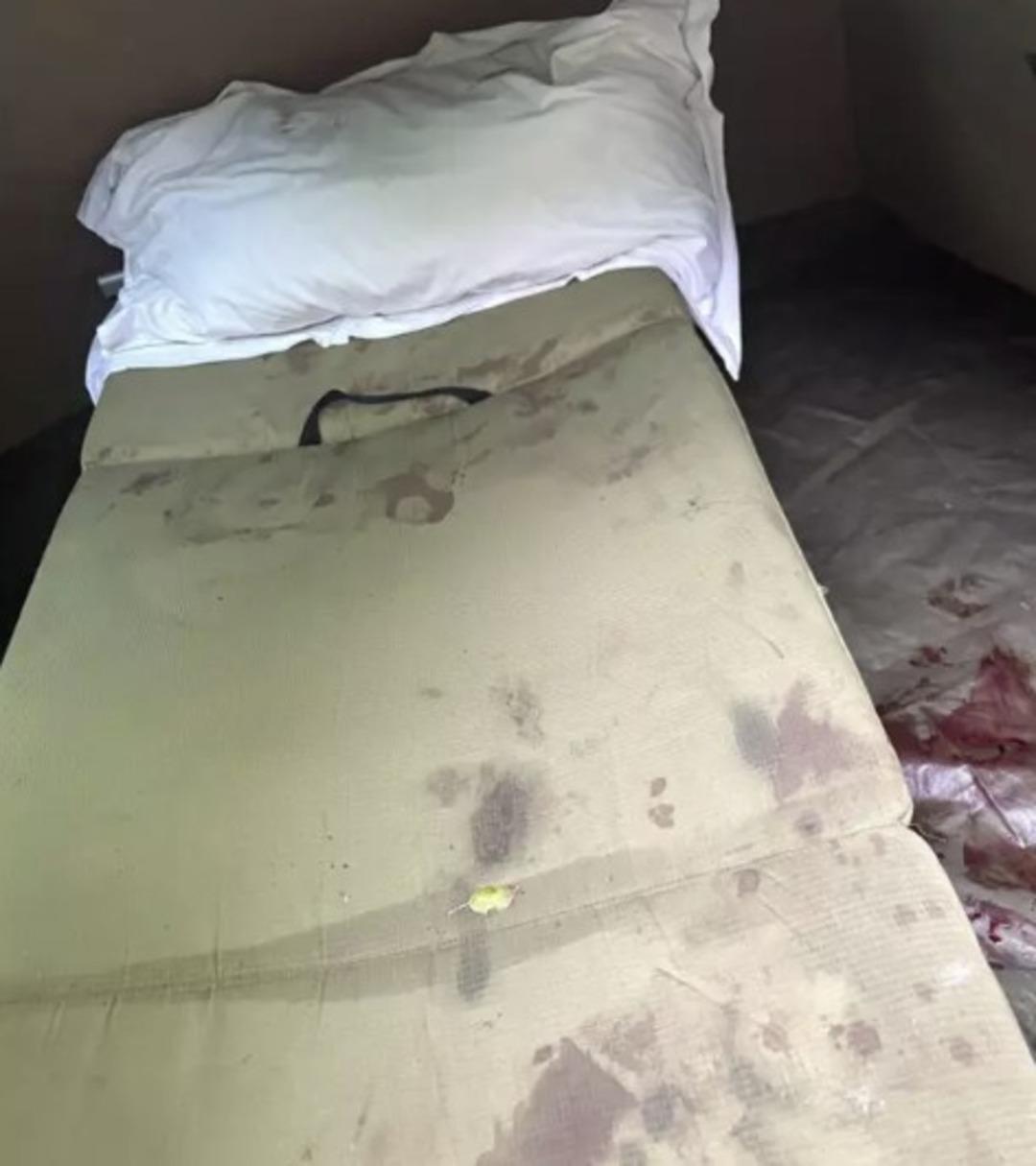 Uyurken sırtlanların saldırısına uğradı! Antalya da aslan saldırısına uğrayan kişinin yaptığıyla aynı şeyi yaparak hayatta kaldı 1