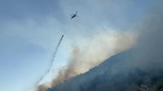 Aydın ın Söke ilçesindeki orman yangını kontrol altına alındı 3