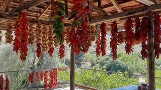 Muğla’da kış hazırlığı renkli görüntüler oluşturdu