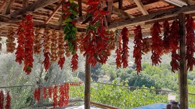 Muğla’da kış hazırlığı renkli görüntüler oluşturdu