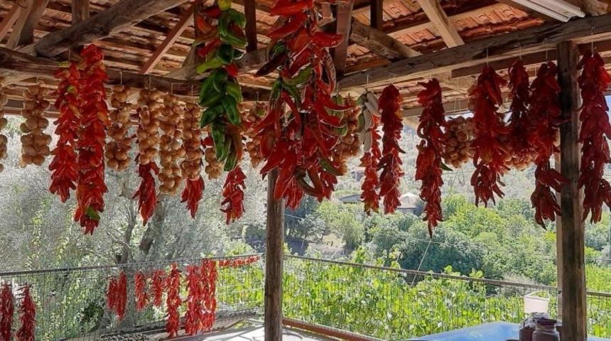 Muğla’da kış hazırlığı renkli görüntüler oluşturdu