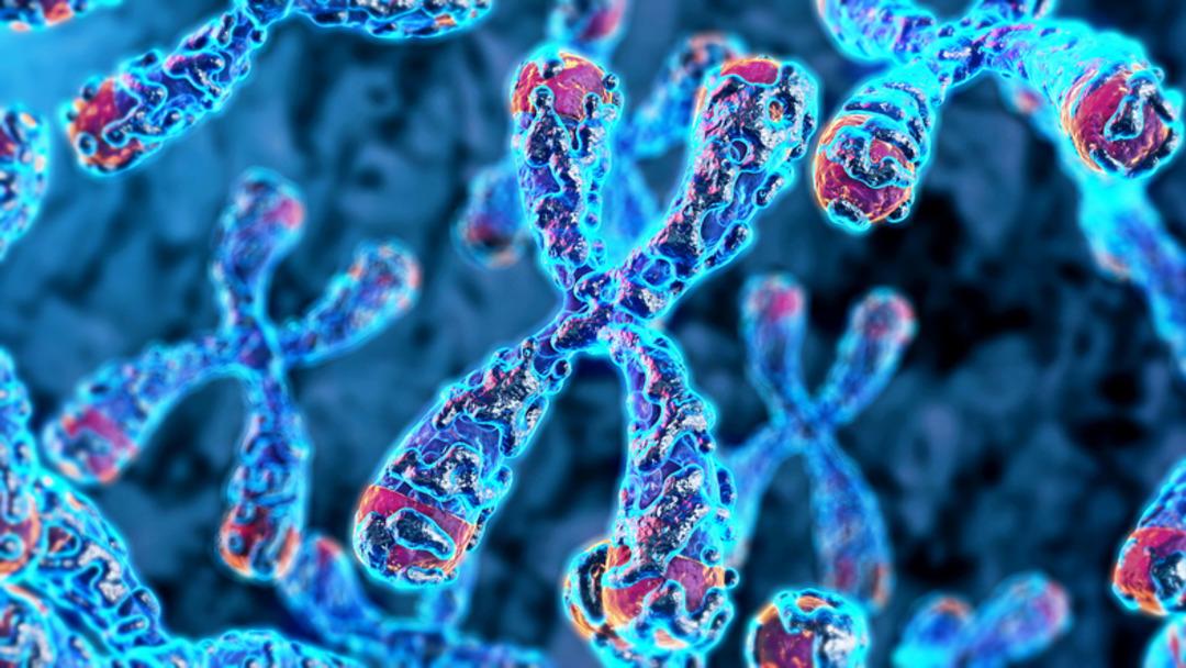 Tıp dünyası şokta! Erkek kardeşinden bir parça içinde dolaşıyor 2