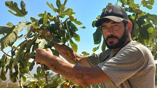 Türkiye'nin ilk kol nakli ile tarihe geçmişti! Nakil kollarıyla çiftçilik yapıyor: Kendi hayatımı kuruyorum” 