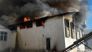 Afyonkarahisar'da tavuk çiftliğinde yangın