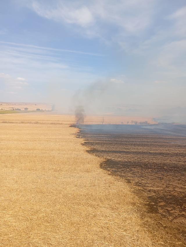 Edirne de anızda çıkıp ağaçlık alana sıçrayan yangın söndürüldü 2