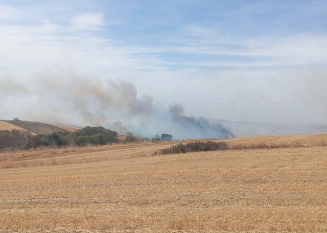 Edirne de anızda çıkıp ağaçlık alana sıçrayan yangın söndürüldü 1