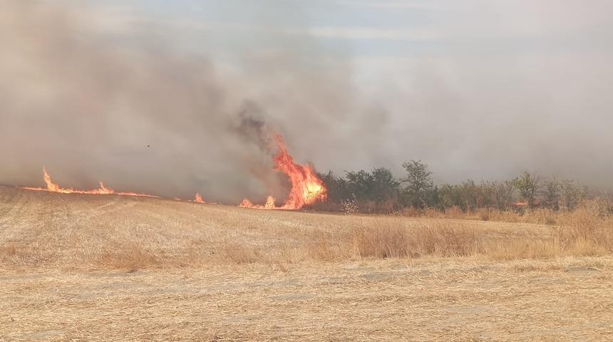 Edirne'de anızda çıkıp ağaçlık alana sıçrayan yangın söndürüldü