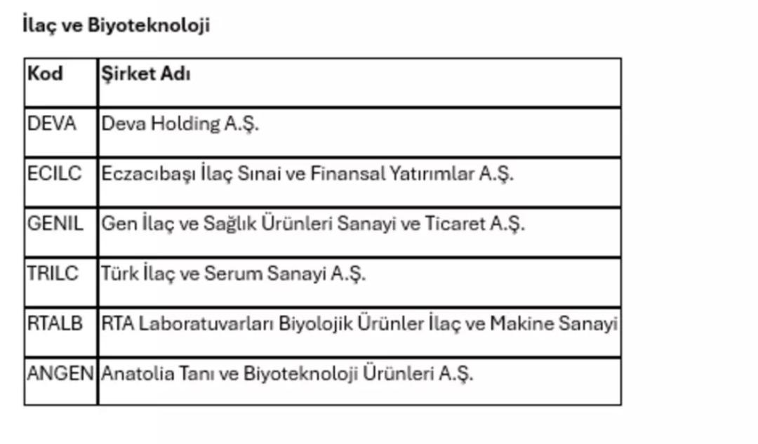 Hasta sayısındaki düşüş borsadaki sağlık şirketlerini baskılıyor 2