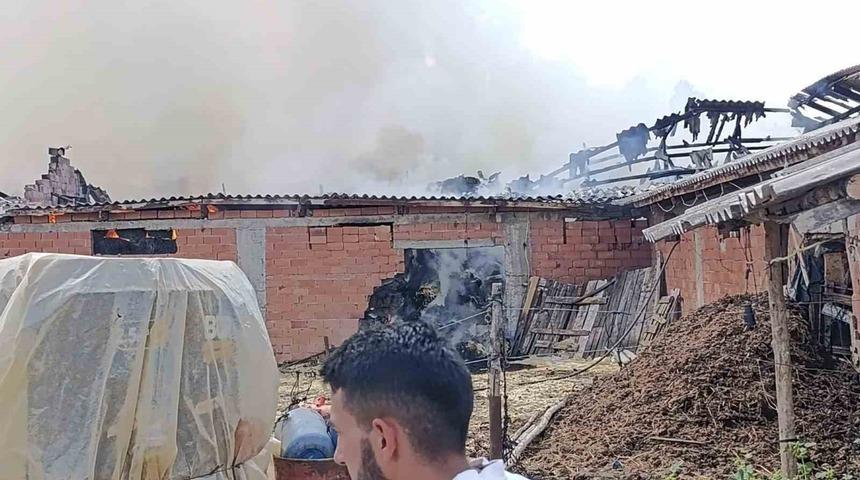 Bilecik’te samanlık alanda yangın çıktı