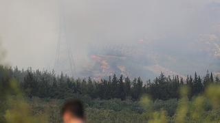 Bursa Valiliği duyurdu! Osmangazi'deki orman yangını kontrol altına alındı