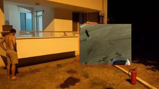 Menteşe Belediye Başkanı'nın ailesinin evine molotoflu saldırı! 'Yanlış daire' iddiası dikkat çekti