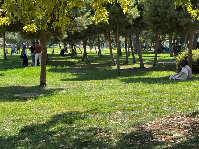 Şanlıurfa da termometreler 49 dereceyi gösterdi 1