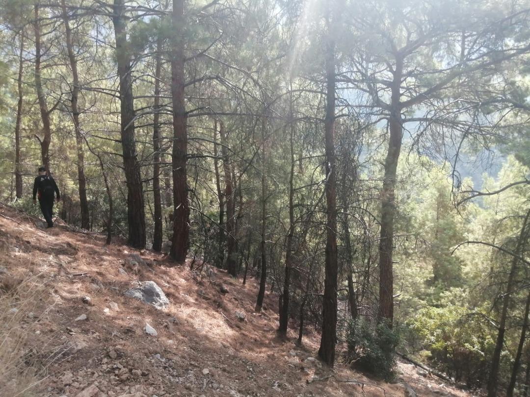 Çinli turistin Muğla da gizemli ölümü! O fotoğraftan sonra ortadan kayboldu 2