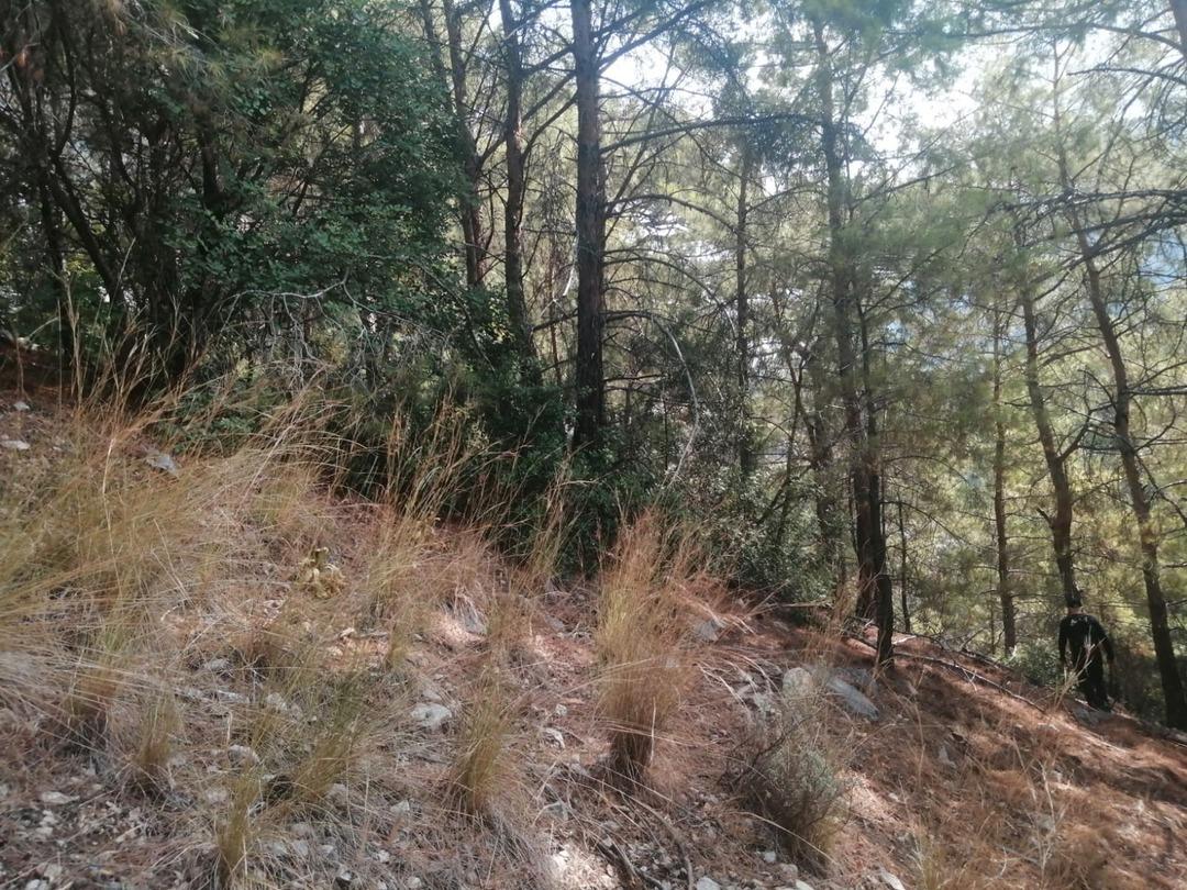 Çinli turistin Muğla da gizemli ölümü! O fotoğraftan sonra ortadan kayboldu 4