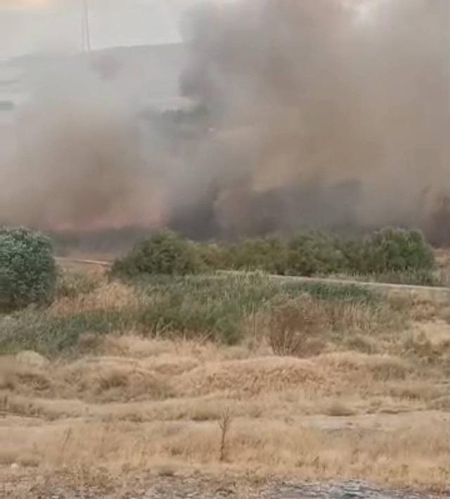 Beypazarı’nda otluk alanda yangın 2