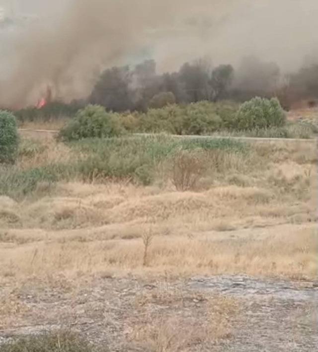 Beypazarı’nda otluk alanda yangın 1