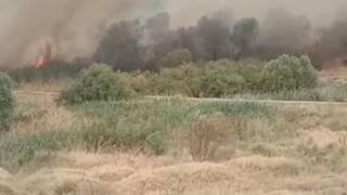 Beypazarı'nda otluk alanda yangın! Ekipler sevk edildi