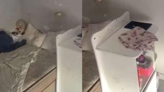 Polisler eve girdi, karşılaştıkları manzara kan dondurdu! Yıllarca kilitlenmiş, konuşmayı bile bilmiyor