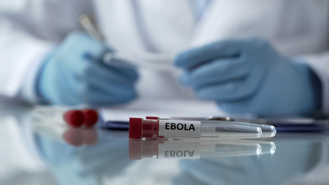Ölüm oranı dehşete düşürdü! İki ülke daha kırmızı alarm verdi: Ebola can almaya devam ediyor; virüs böyle dolaşıyor 2