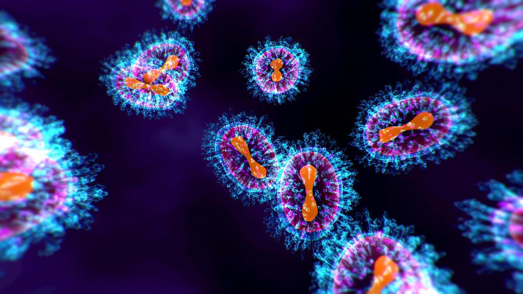 Ölüm oranı dehşete düşürdü! İki ülke daha kırmızı alarm verdi: Ebola can almaya devam ediyor; virüs böyle dolaşıyor 5